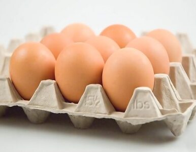 Miniatura: Afera jajeczna: były dwa źródła trefnego...