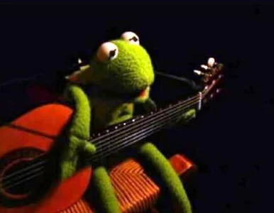 Miniatura: Kermit, Akira, India i Ludon - tak nie...