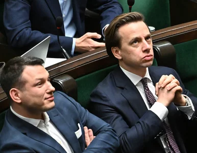 Miniatura: Polacy zdecydowali, która koalicja byłaby...
