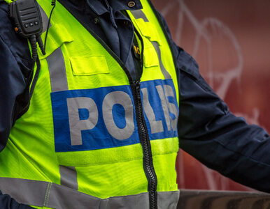 Miniatura: Szwecja. Policjanci zastrzelili 20-latka z...