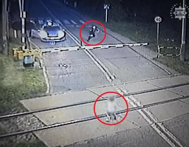 Miniatura: 6-latek bawił się na torowisku, chwilę...