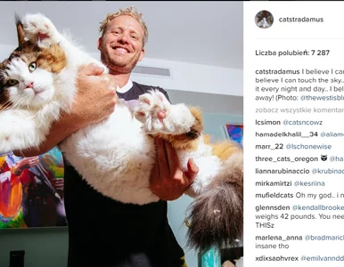 Miniatura: 13 kilogramów futrzanej miłości. Poznajcie...