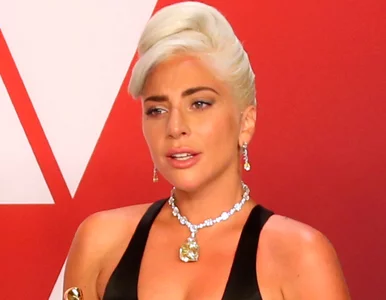 Miniatura: Lady Gaga chce wypłacić 500 tys. dol. za...