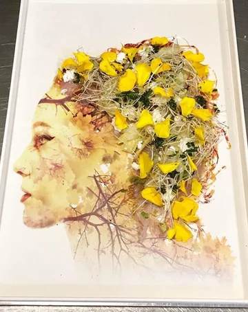 Inne dania szefa Segeva Moshe 