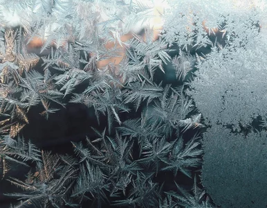 Miniatura: Przysłowia o zimie. Wiesz, jaki wyraz...