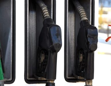 Miniatura: Ceny benzyny znowu idą w górę