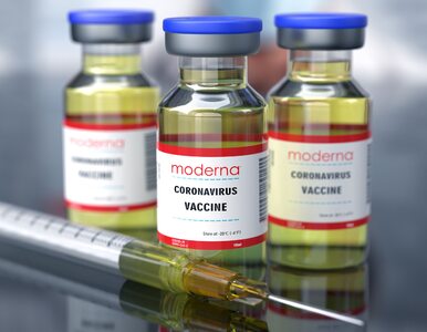 Miniatura: Moderna rozpoczyna testowanie szczepionki...