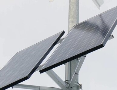 Miniatura: Przedsiębiorcy poszukują alternatywnych...