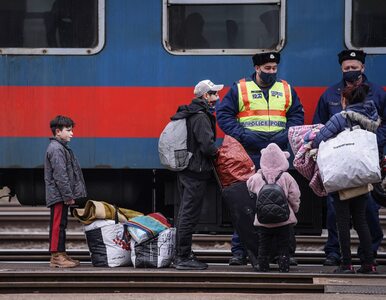 Miniatura: Uchodźcy z Ukrainy na Węgrzech. „Nasze...