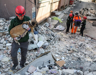 Kolejne trzęsienie ziemi w Turcji. Wstrząsy były odczuwalne w sześciu...