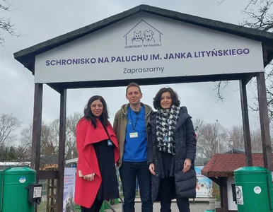 Miniatura: „Absolutna, gigantyczna eskalacja emocji”....