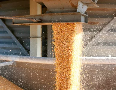 Miniatura: Ukraina może wycofać skargę na Polskę....