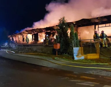 Miniatura: Spłonął budynek, w którym mieszkali...