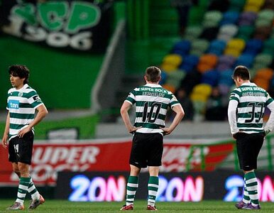 Miniatura: Rywal Legii przegrywa w lidze portugalskiej