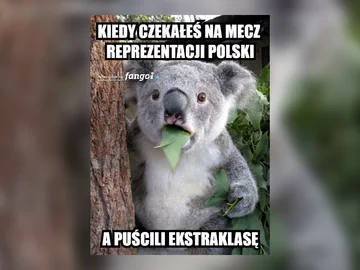 Polska przegrała z Nigerią 