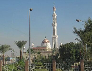 Miniatura: Egipt: muzłumanie nie chcą...