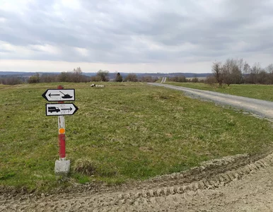 Miniatura: Wybuch na poligonie w Czechach. W akcji...