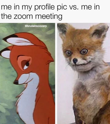 Ja na profilowym vs ja na Zoom/Skype 