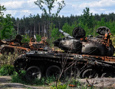 Miniatura: Syn brytyjskiej parlamentarzystki walczy...