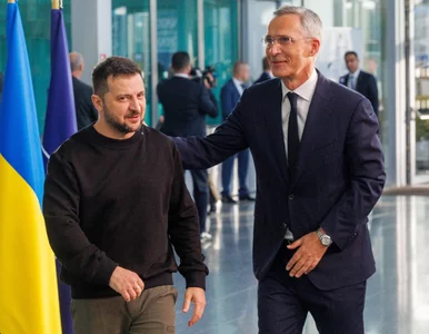 Miniatura: NATO reaguje na ruch Rosji. Przeprowadzi...