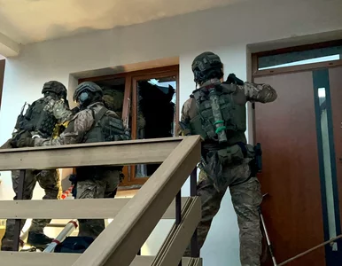 Miniatura: Akcja służb ws. nielegalnego przekraczania...