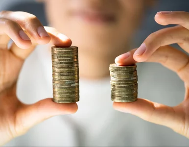 Miniatura: Wysokie kompetencje za mniejsze pieniądze....