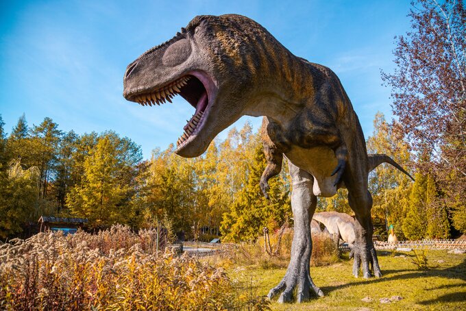 Bałtowski Kompleks Turystyczny