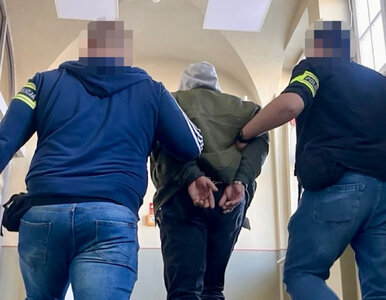 Miniatura: 35 zarzutów zbezczeszczenia i wiele...