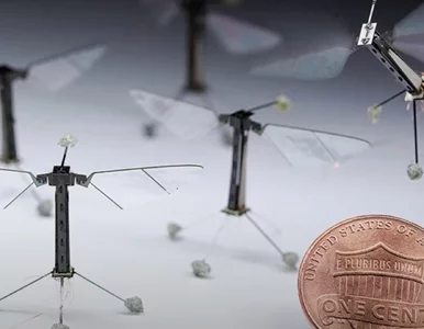 Miniatura: Chińscy naukowcy tworzą mikrodrona do...