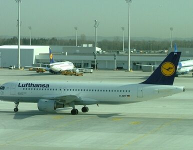 Miniatura: Lufthansa i Germanwings będą strajkować