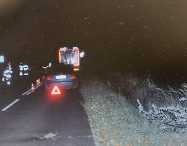 Miniatura: Zderzyła się z łosiem. Potem w jej auto...