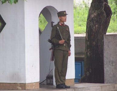 Miniatura: Korea Północna wzywa do zakończenia wrogości