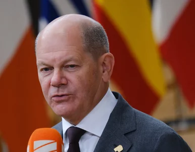 Miniatura: Gospodarka Niemiec. „Wiosenne ożywienie...