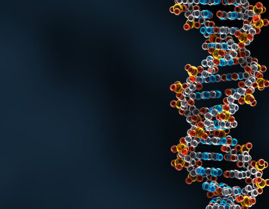 Miniatura: Skradziono 14 tys. próbek z materiałem DNA