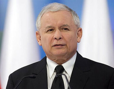 Miniatura: Kaczyński: tajemnica tkwi w tzw. timingu