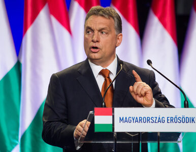 Miniatura: Orban: Użycie broni wobec imigrantów nie...