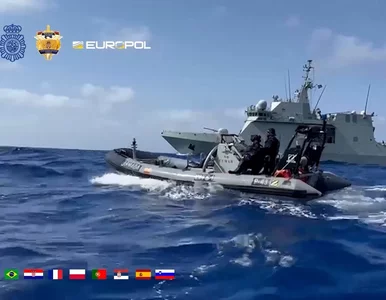 Miniatura: Służby rozbiły kartel narkotykowy. Na...