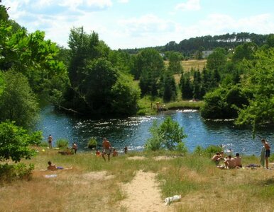 Miniatura: Dzika plaża ukryta w środku lasu. Idealne...