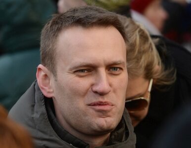 Miniatura: Nawalny opuścił areszt