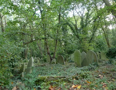 Miniatura: 30-latka porządkowała nagrobki na...