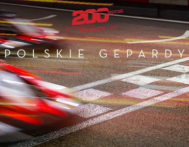 Miniatura: Te firmy zarabiają w Polsce najwięcej....