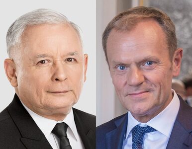 Miniatura: Kaczyński i Tusk powinni wycofać się z...