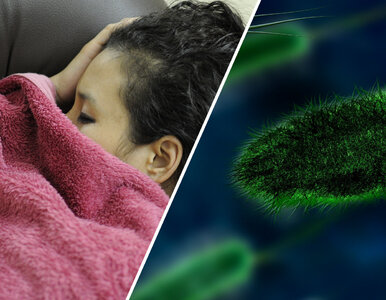 Miniatura: Naukowcy mają nową teorię dot....