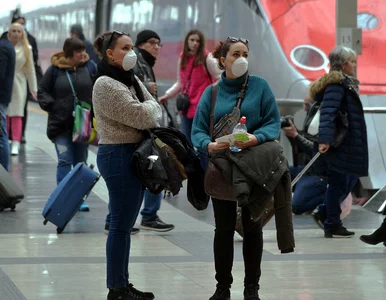 Miniatura: Koronawirus. Polka ujawnia, jak wygląda...