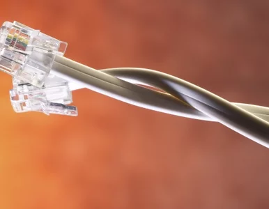 Miniatura: PWN uczy czym jest e-learning