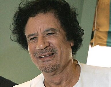 Miniatura: Kadafi wyznacza nagrodę za schwytanie...