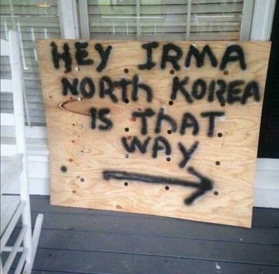 Miniatura: Jedni obawiali się huraganu Irma, inni......