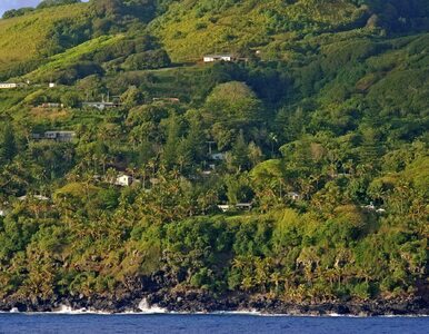Miniatura: Mieszka na najbardziej odizolowanej wyspie...