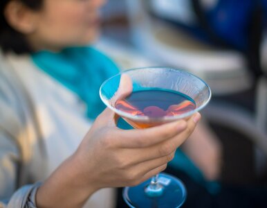 Miniatura: Znani aktorzy oskarżeni. Chodzi o alkohol