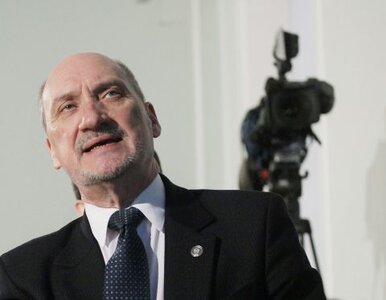 Miniatura: Macierewicz: prokuratorzy hańblili polski...